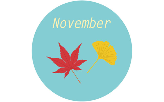 11月