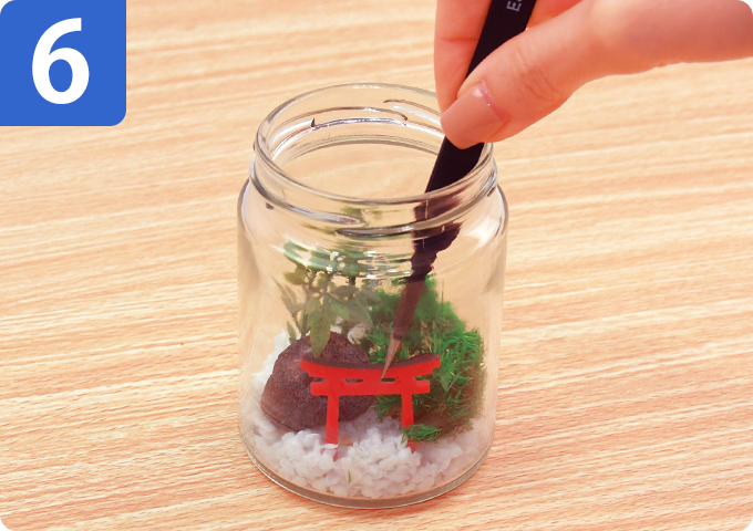 苔のテラリウムについて | 株式会社さくらほりきり