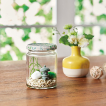 苔のテラリウム