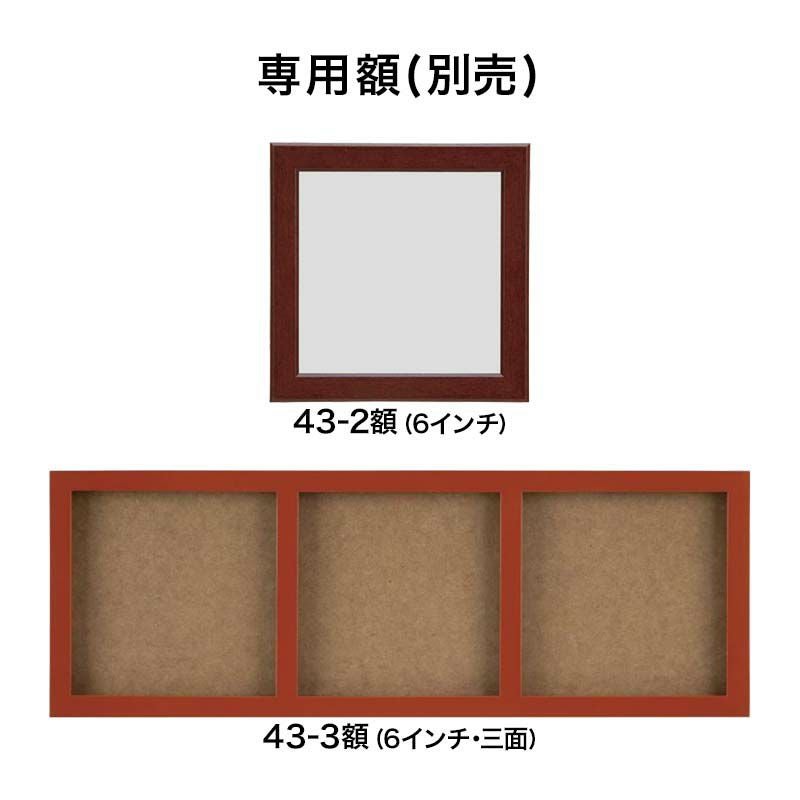 きめこみ誕生花・トルコキキョウ（7月）｜株式会社さくらほりきり