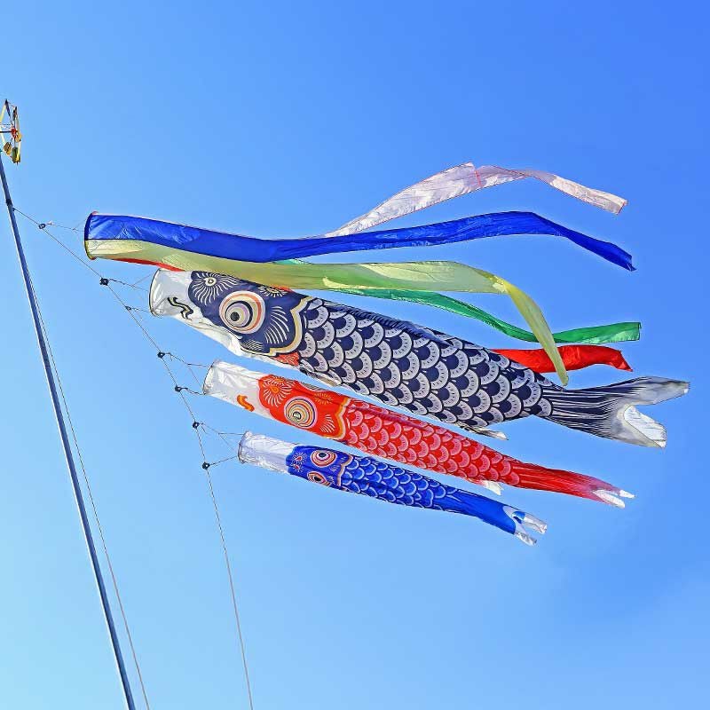 子どもだけでなく、家族みんなを見守る鯉のぼり