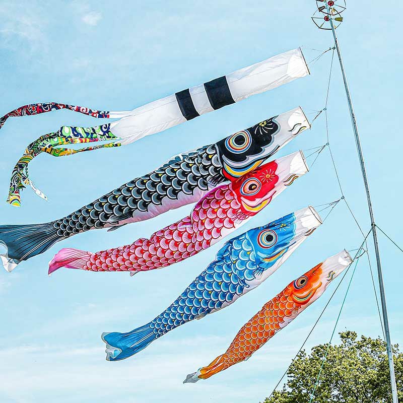 鯉のぼりには逞しく育ってほしいという願いが込められています