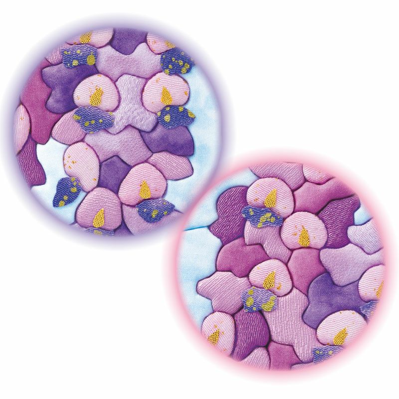 藤の花の花言葉は「優しさ」「歓迎」