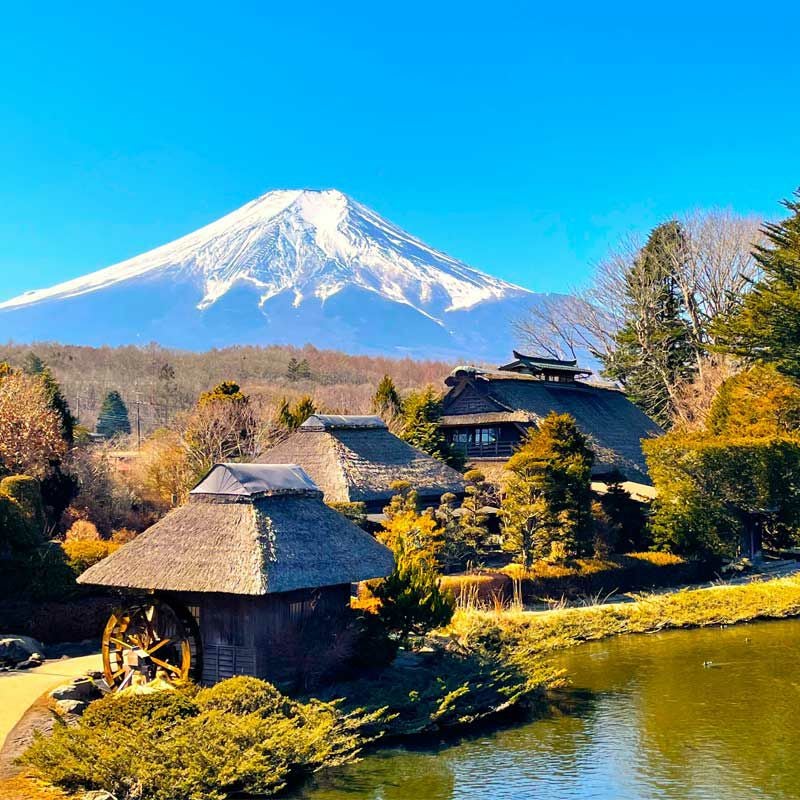 忍野八海は国の天然記念物・名水百選に指定されており、透明度の高い水と、茅葺屋根や水車とともに織りなす日本の原風景が魅力です