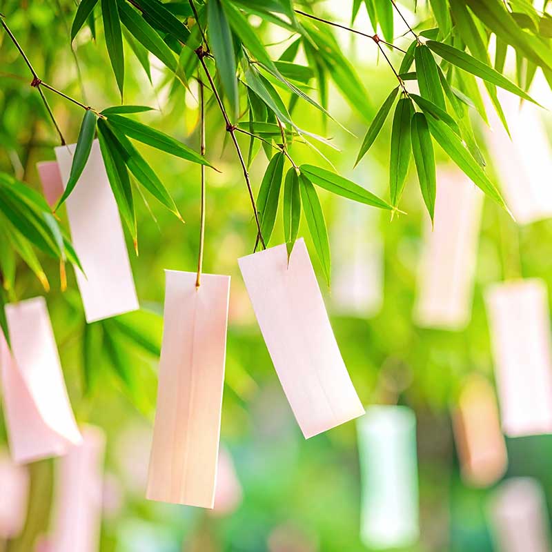 江戸時代になってから現在の七夕のように、笹を飾り付け、願いを書いた短冊を吊るすようになったといわれています。